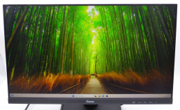 Monitor IIyama 24